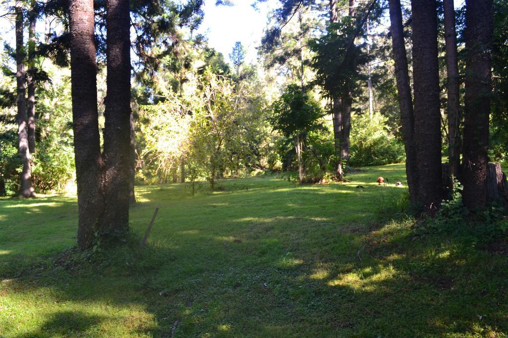 Отель Tuckers Retreat Canungra Экстерьер фото
